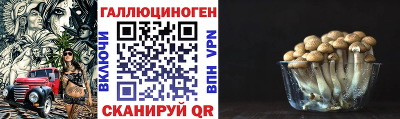 Псилоцибиновые грибы Cubensis Данилов